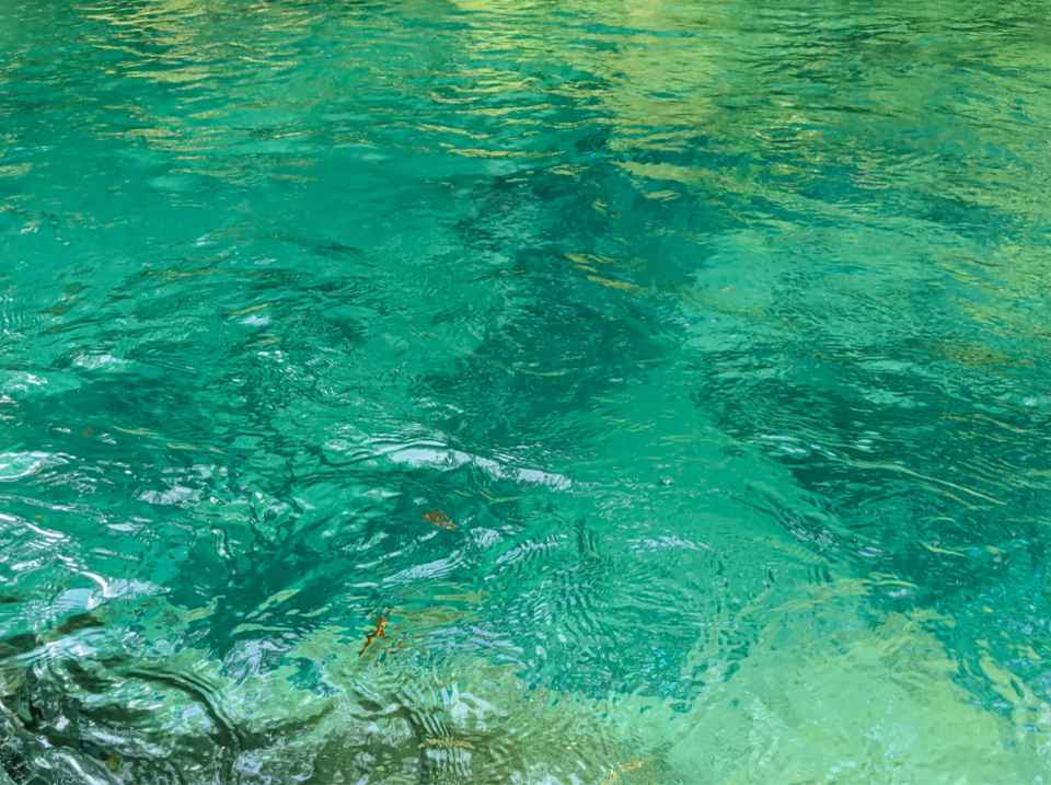 ipr Consult Fachkompetenz Trink- und Brauchwasser