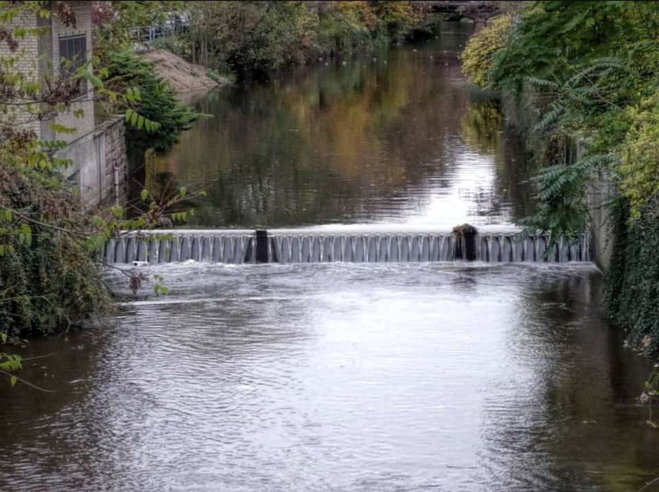 ipr Consult Referenzen naturnaher Wasserbau